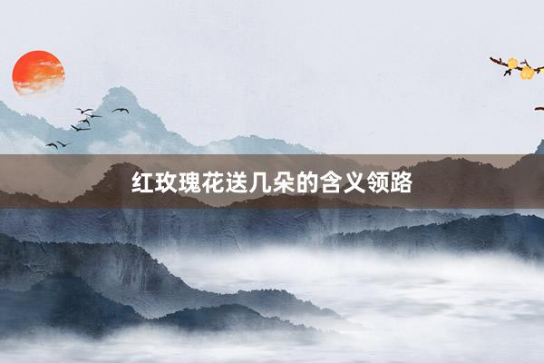 红玫瑰花送几朵的含义领路