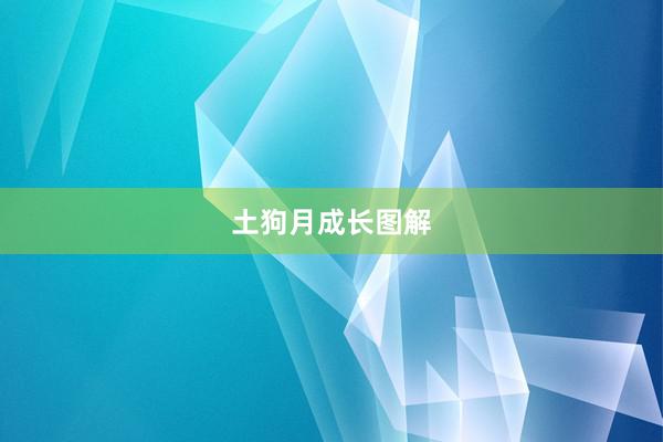 土狗月成长图解