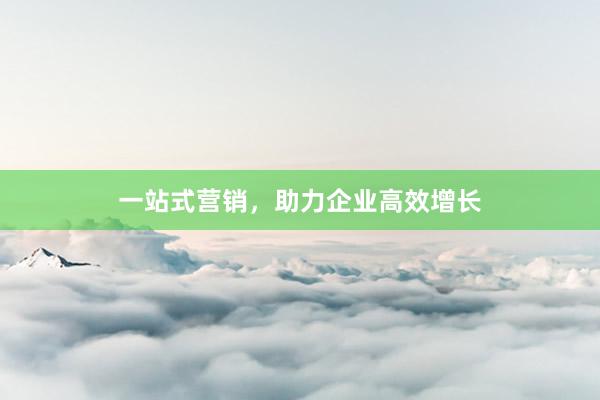 一站式营销，助力企业高效增长