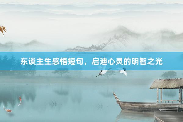 东谈主生感悟短句，启迪心灵的明智之光
